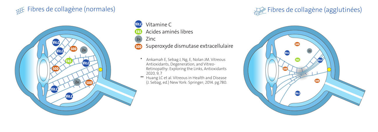 Traitement myodesopsies complements nutritionnels