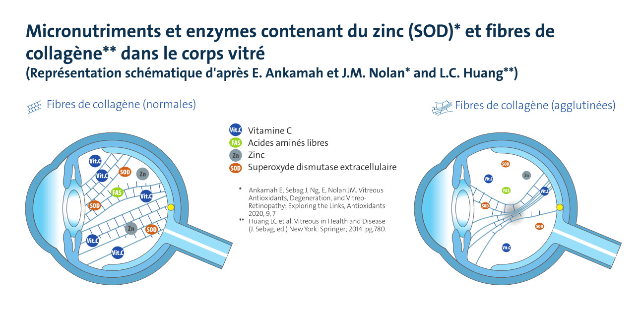 Traitement myodesopsies complements nutritionnels